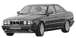 BMW E34 P1655 Fault Code